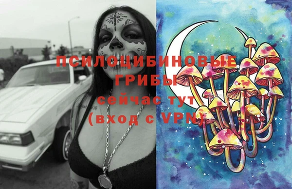 первитин Касимов