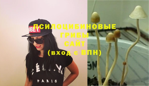 spice Карпинск