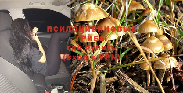 первитин Касимов