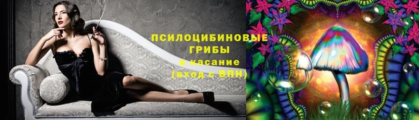 spice Карпинск